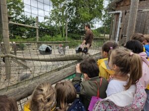 visite à la ferme des élèves de maternelle