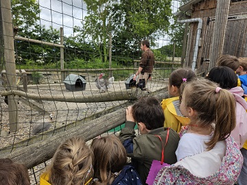 visite à la ferme des élèves de maternelle